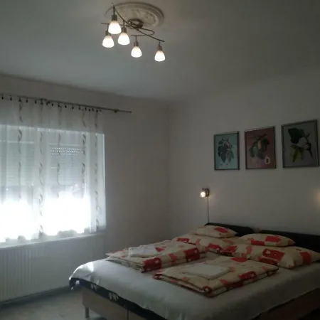 Fuege Vendeghaz Guest house