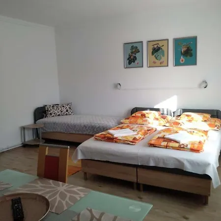 Fuege Vendeghaz 미슈콜츠