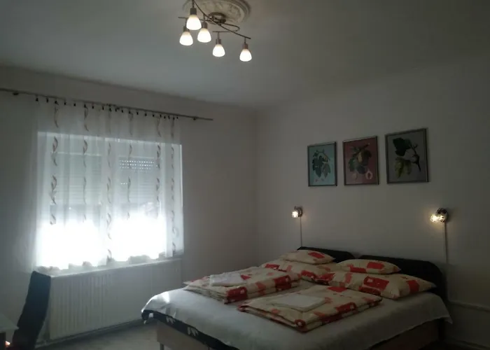 Fuege Vendeghaz Гостевой дом