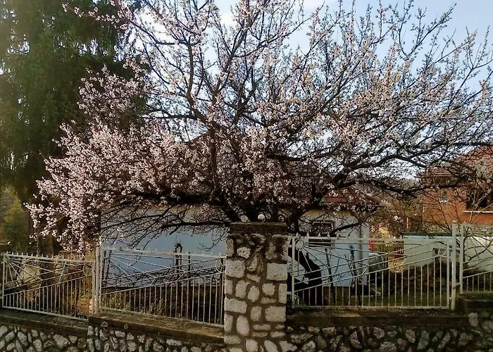 Гостевой дом Fuege Vendeghaz Мишкольц